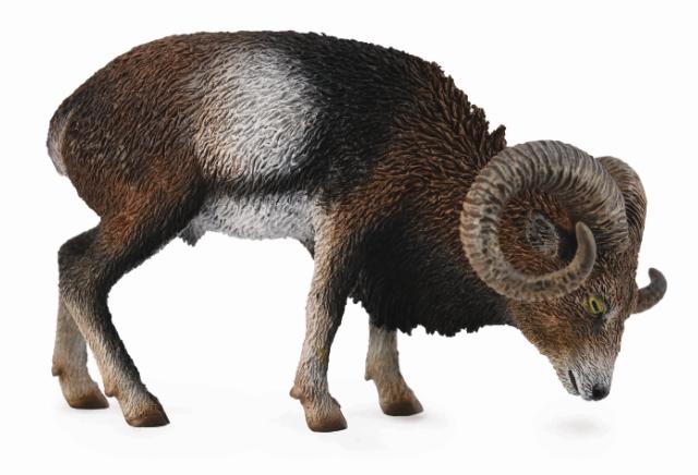 CollectA - 88682 - EUROPÄISCHES MUFLONSCHAF (L)