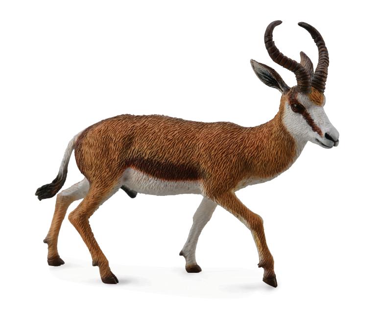 CollectA - 88684 - SPRINGBOCK (L)