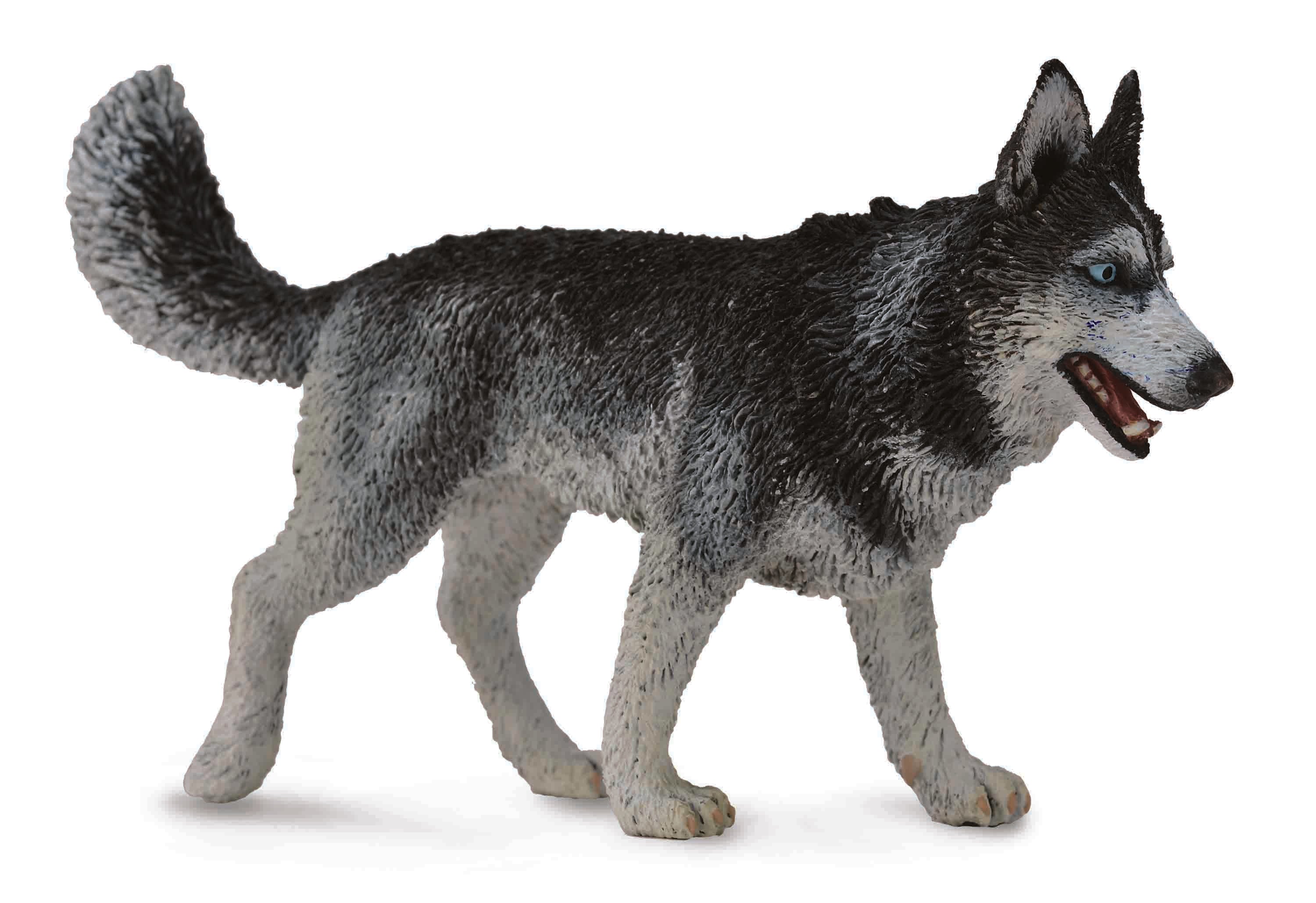 CollectA - 88707 - SIBIRISCHER HUSKY (L)