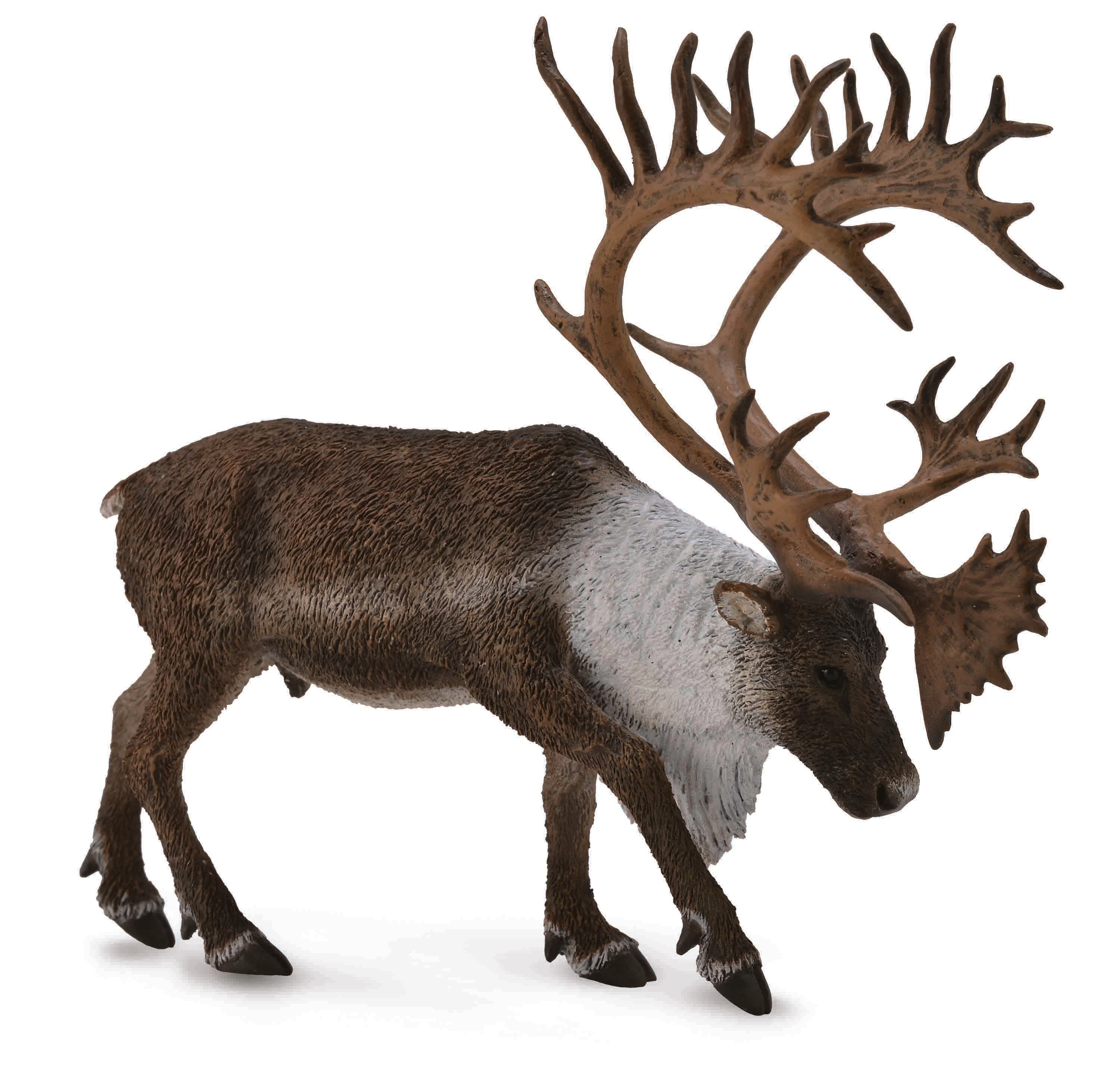 CollectA - 88709 - KANADISCHES WALDKARIBU (XL)