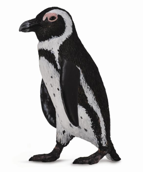 CollectA - 88710 - SÜDAFRIKANISCHER PINGUIN (S)