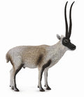 CollectA - 88721 - TSCHIRU - TIBETANTILOPE (L)