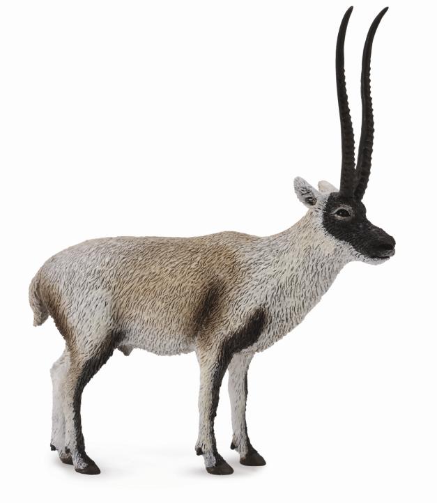 CollectA - 88721 - TSCHIRU - TIBETANTILOPE (L)