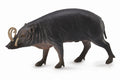 CollectA - 88727 - * HIRSCHEBER (L)