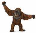 CollectA - 88730 - ORANG-UTAN (L)