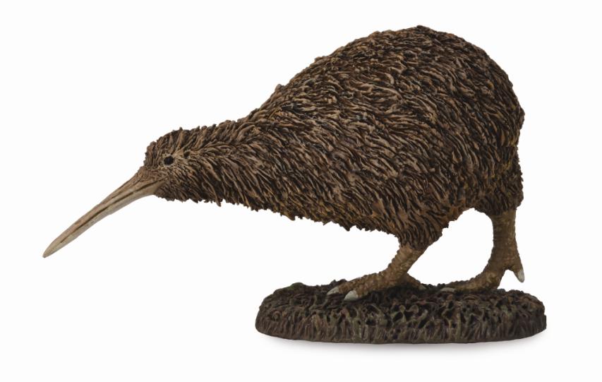 CollectA - 88731 - KIWI SCHNEPFENSTRAUSS (M)