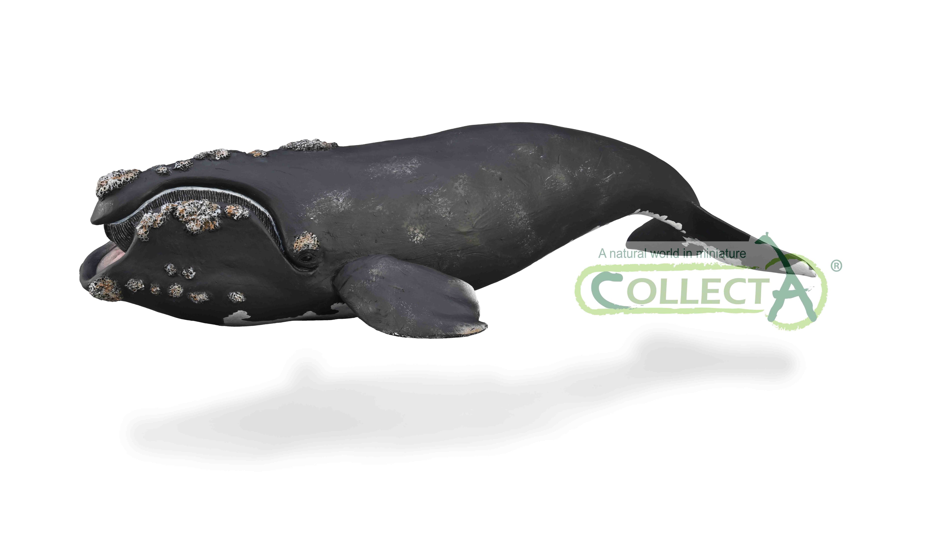 CollectA - 88740 - GLATTWAL (XL)
