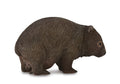 CollectA - 88756 - WOMBAT (M)
