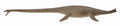 CollectA - 88760 - THALASSOMEDON 1:40 (DELUXE)
