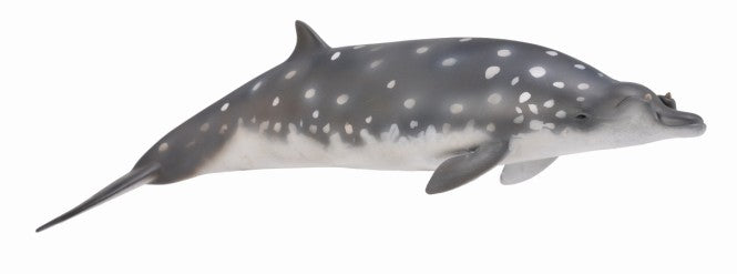 CollectA - 88761 - BLAINVILLE SCHNABELWAL (L)
