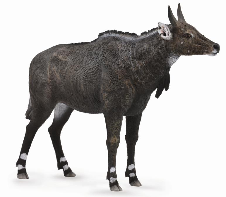 CollectA - 88764 - NILGAUANTILOPE (L)