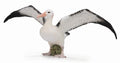 CollectA - 88765 - WANDERALBATROS (L)