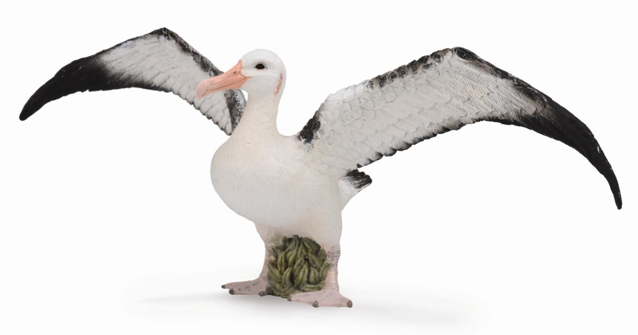 CollectA - 88765 - WANDERALBATROS (L)