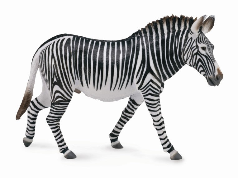 CollectA - 88773 - GREVYZEBRA (XL)