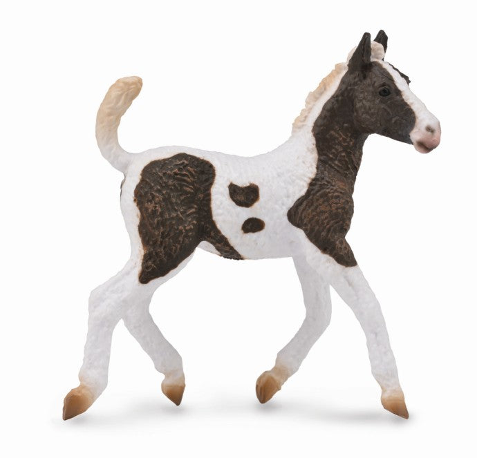 CollectA - 88781 - CURLY FOHLEN (M)