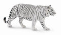 CollectA - 88790 - WEISSER TIGER (XL)