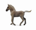 CollectA - 88799 - ROCKY MOUNTAIN FOHLEN (M)