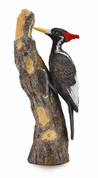 CollectA - 88802 - ELFENBEINSPECHT (L)