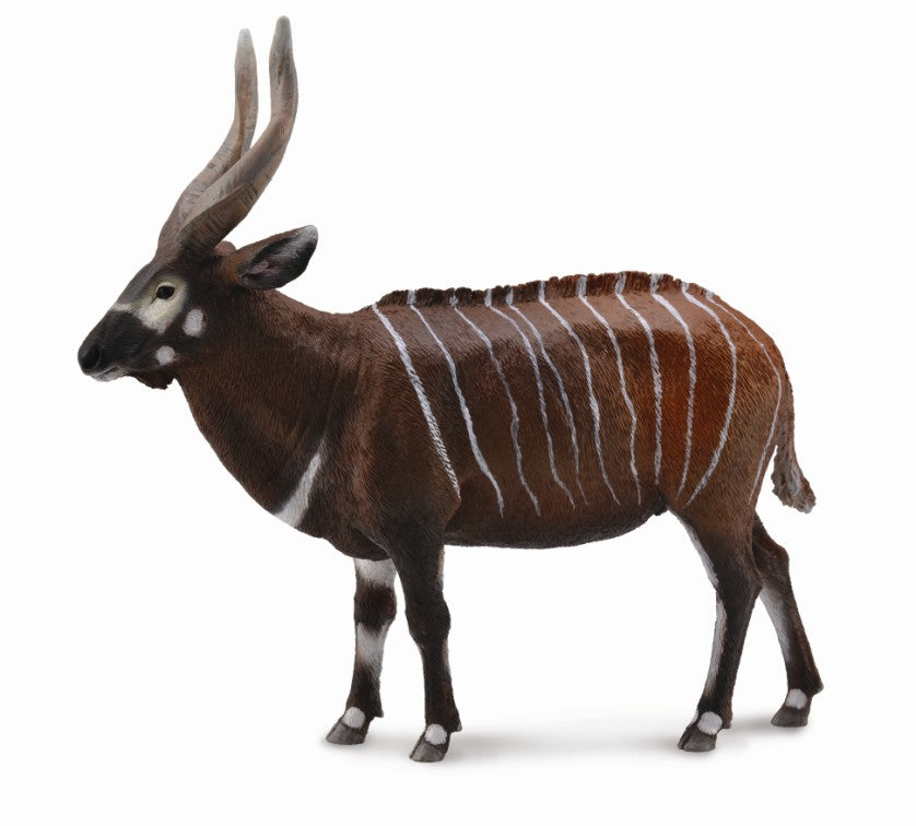 CollectA - 88809 - BONGO (XL)