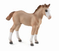 CollectA - 88814 - QUARTER HORSE FOHLEN (M)
