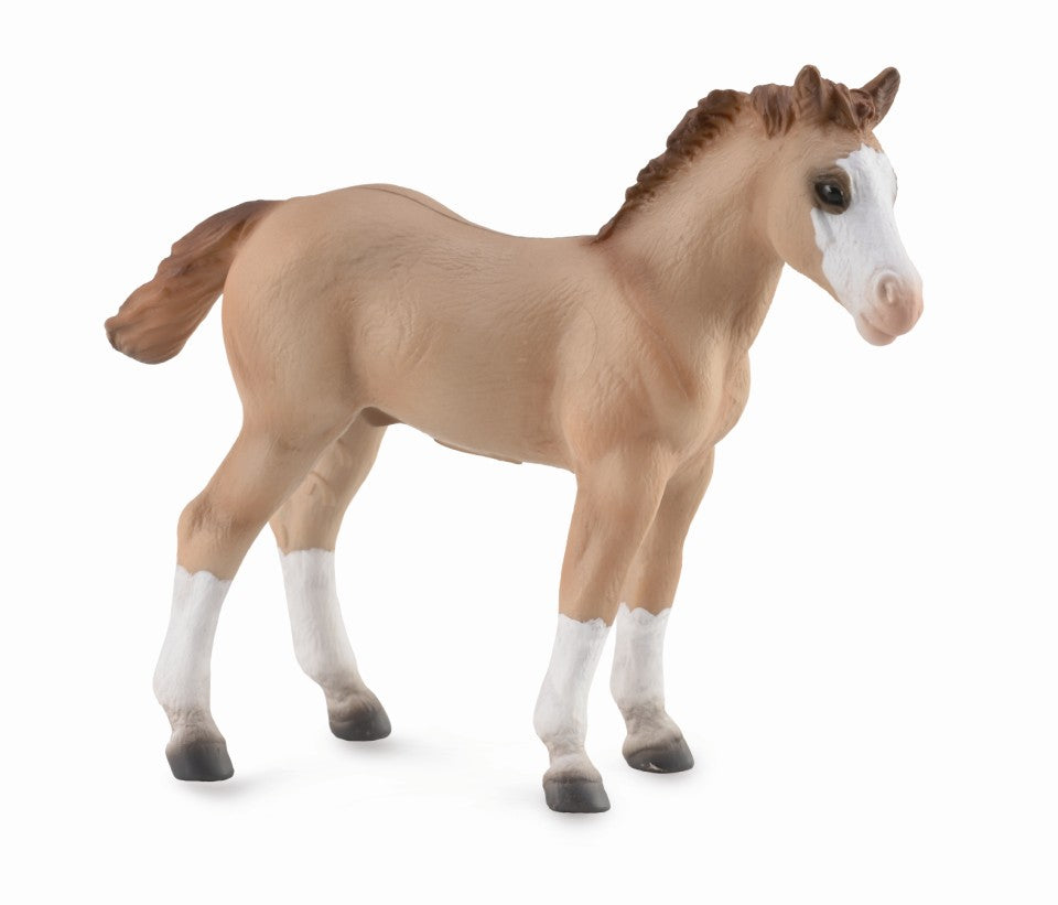 CollectA - 88814 - QUARTER HORSE FOHLEN (M)