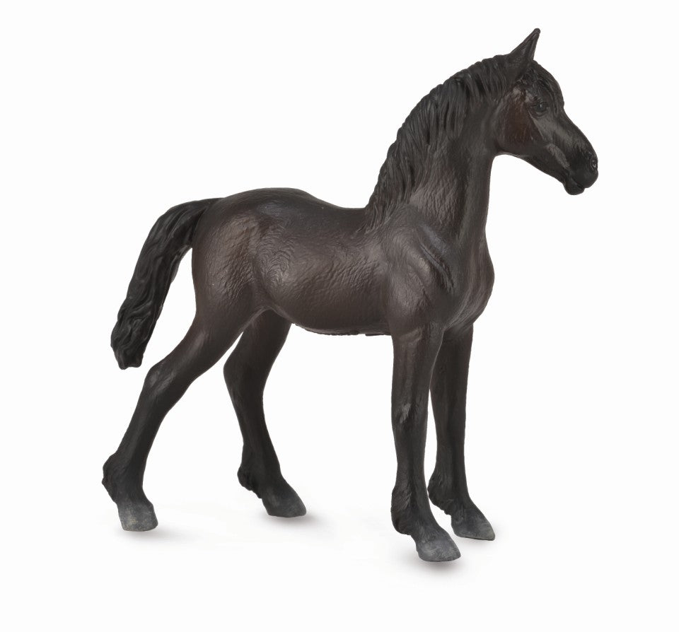 CollectA - 88815 - FRIESIANFOHLEN - SCHWARZ (M)