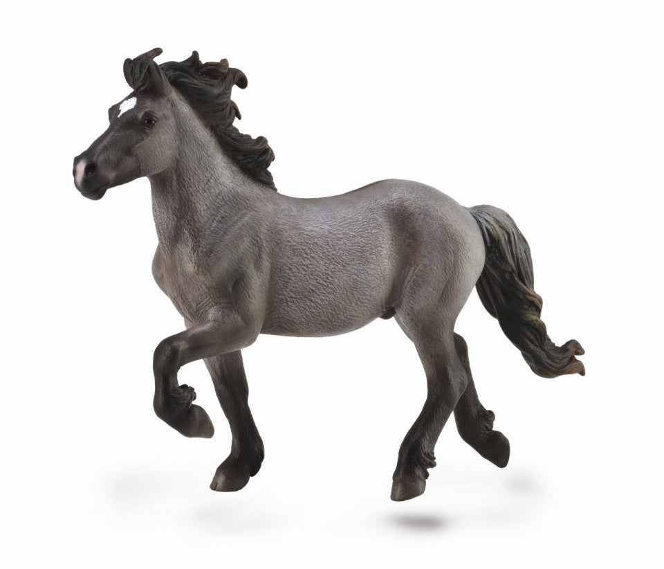 CollectA - 88826 - ISLÄNDER HENGST BLUE DUN (XL)