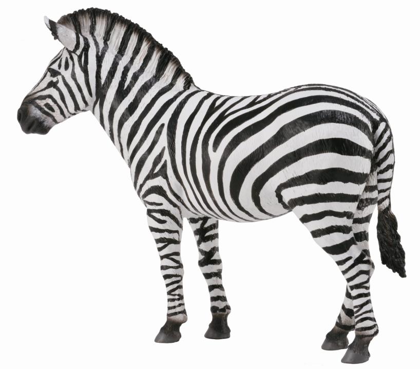 CollectA - 88830 - STEPPENZEBRA (L)