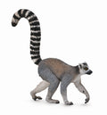 CollectA - 88831 - KATTA LEMURE (M)