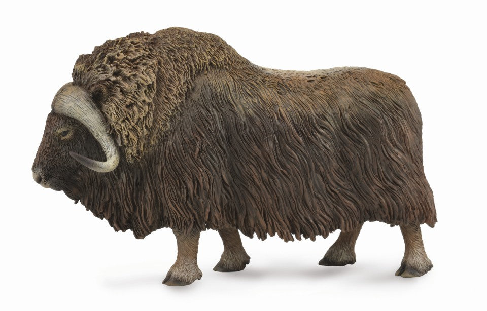 CollectA - 88837 - MOSCHUSOCHSE (L)
