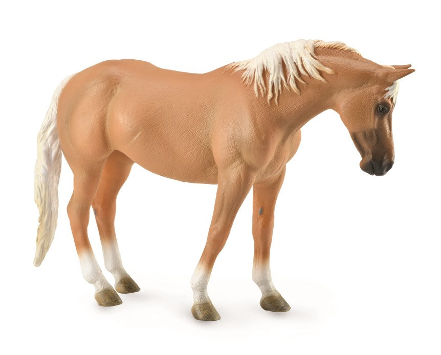 CollectA - 88843 - QUARTER HORSE STUTE - DELUXE 1:12