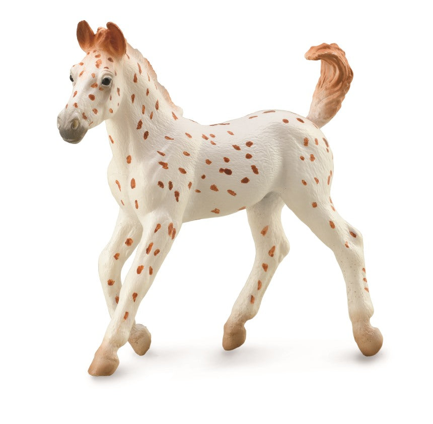 CollectA - 88848 - KNABSTRUPPER FOHLEN, VOLLTIGER (M)