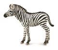 CollectA - 88850 - ZEBRAFOHLEN (M)