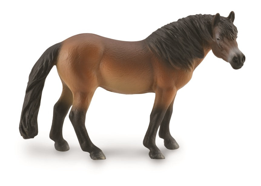 CollectA - 88873 - EXMOOR PONY HENGST (L)