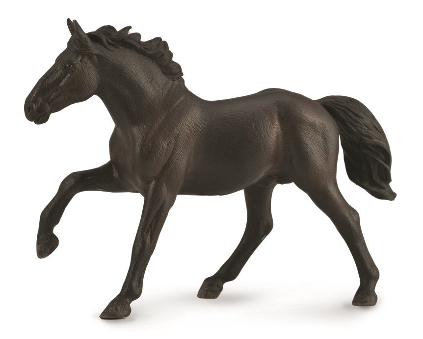 CollectA - 88878 - NONIUS HENGST - UNGARISCHES WARMBLUT  (XL)