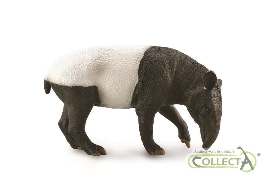 CollectA - 88881 - MALAYSISCHER TAPIR (L)