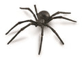 CollectA - 88884 - SCHWARZE WITWE (L)