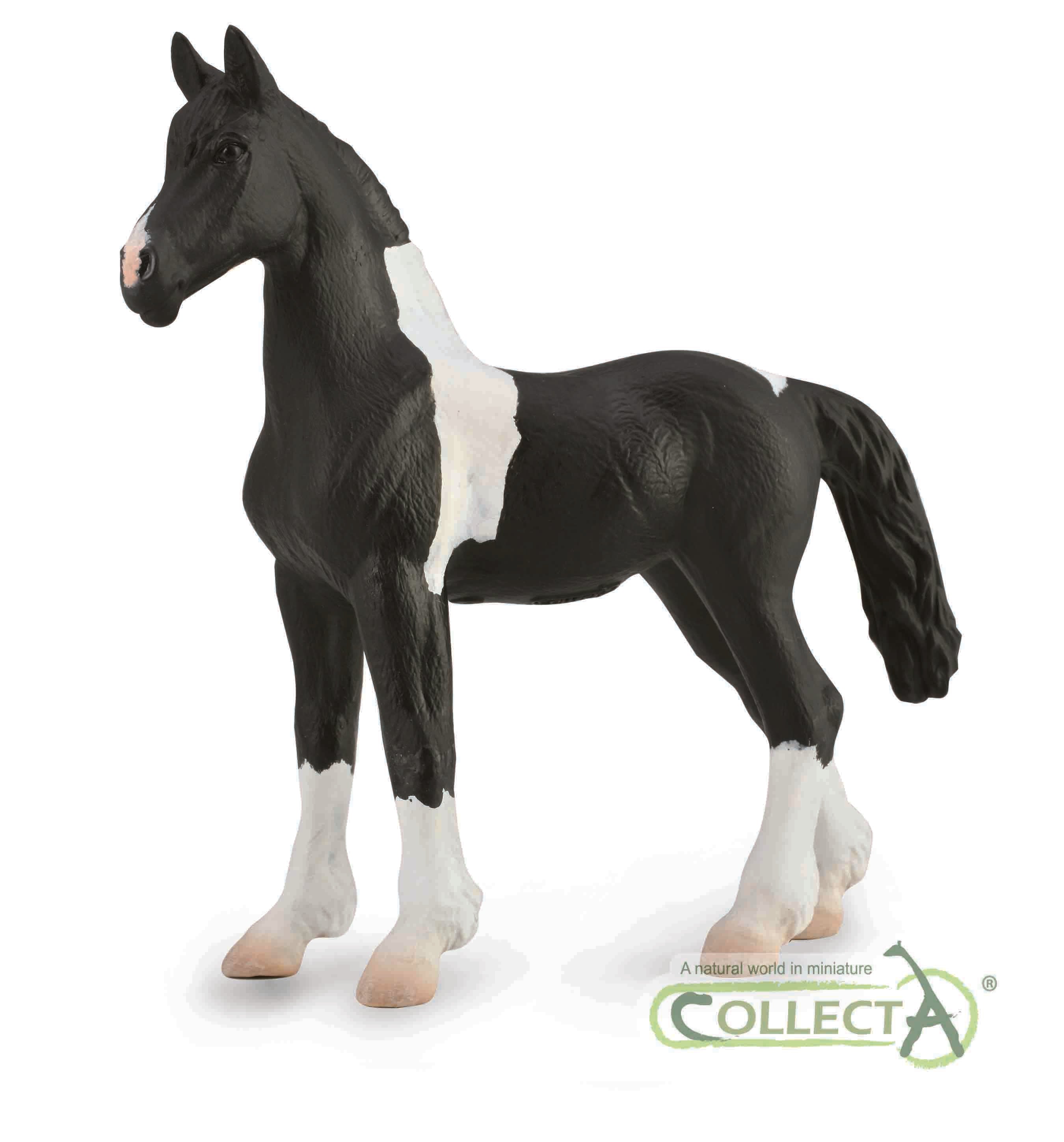 CollectA - 88893 - BAROCK PINTO FOHLEN (M)