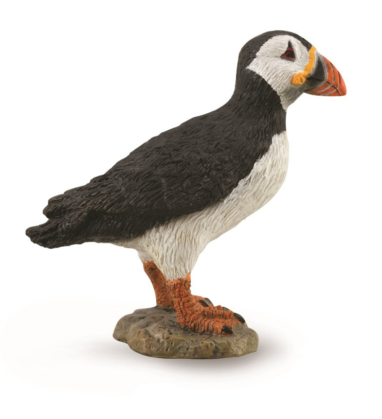 CollectA - 88895 - PAPAGEIENTAUCHER (M)