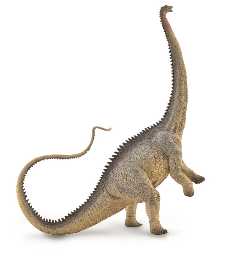CollectA - 88896 - DIPLODOCUS - GRAU (XL)