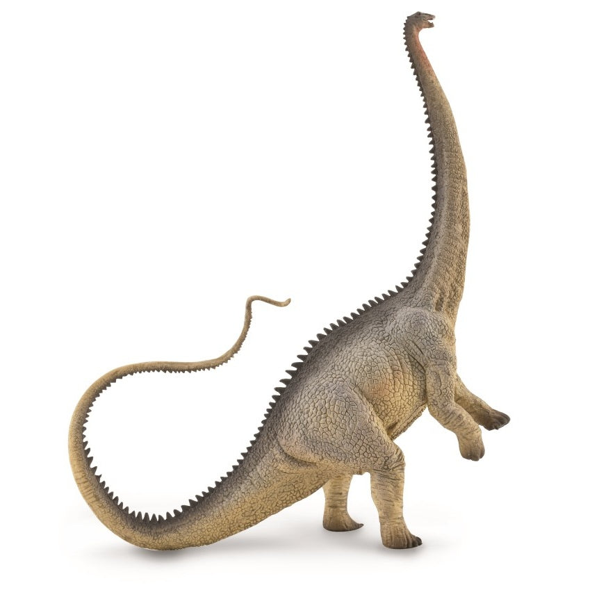CollectA - 88896 - DIPLODOCUS - GRAU (XL)