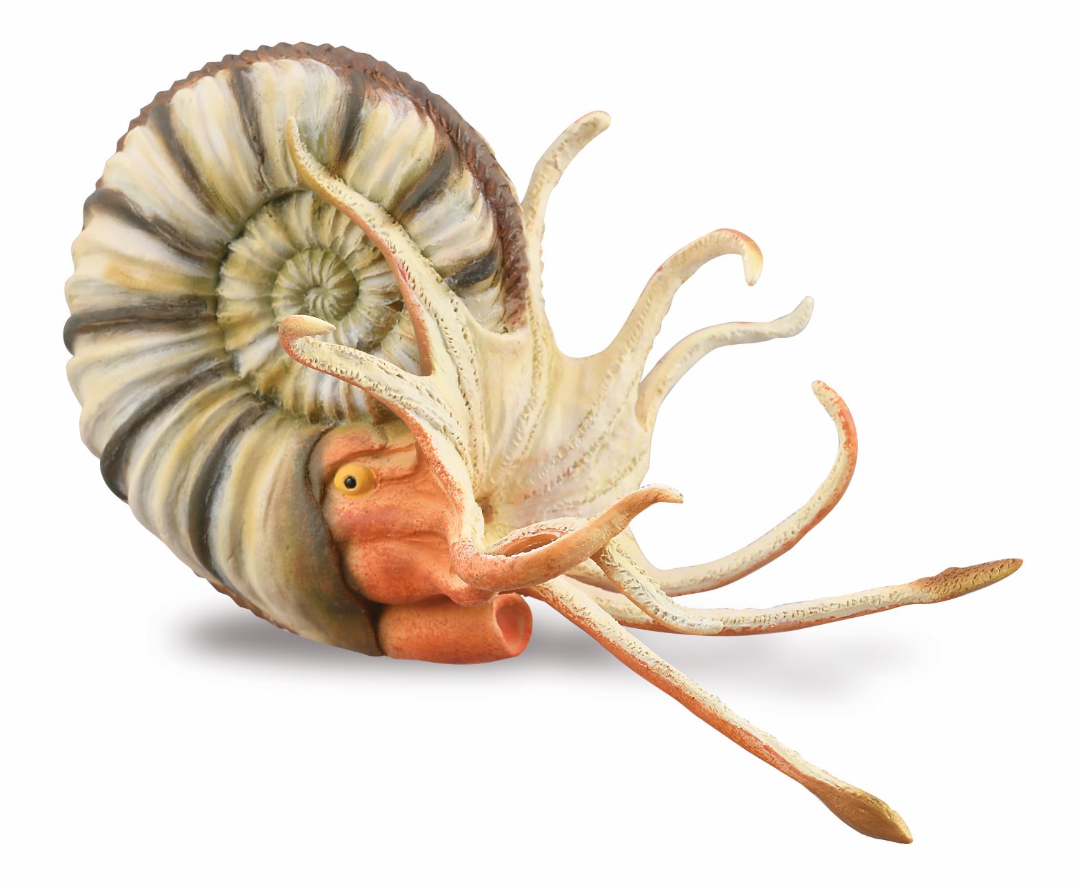 CollectA - 88902 - PLEUROCERAS AMMONIT (XL)