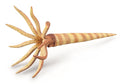 CollectA - 88903 - ORTHOCERAS - GERADHORN (L)