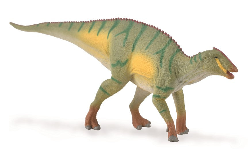 CollectA - 88910 - KAMUYSAURUS (M)