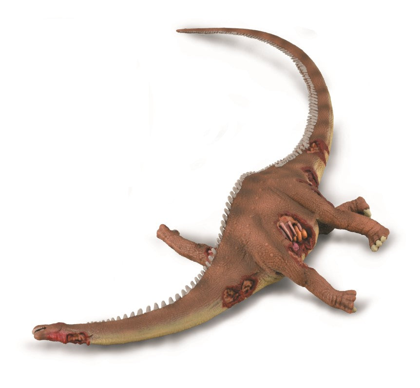 CollectA - 88911 - BRONTOSAURUS - BEUTE (XL)