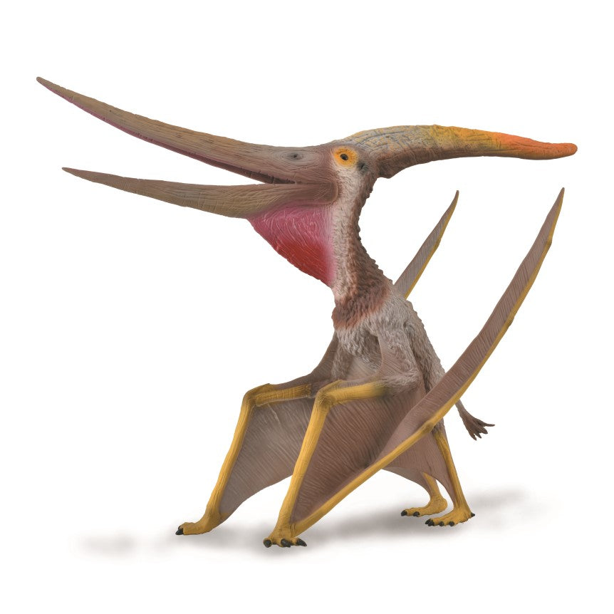 CollectA - 88912 - PTERANODON MIT BEWEGL. KIEFER - 1:15 (DELUXE)
