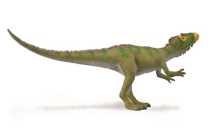 CollectA - 88917 - NEOVENATOR - WITTERND (M)