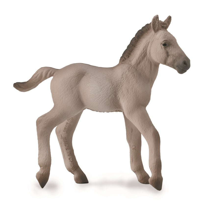 CollectA - 88918 - KONIK FOHLEN (M)