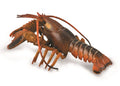 CollectA - 88920 - HUMMER - (DELUXE)