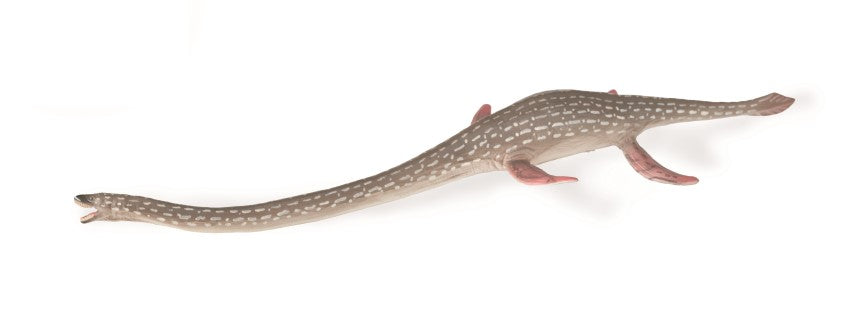 CollectA - 88922 - ELASMOSAURUS (L)